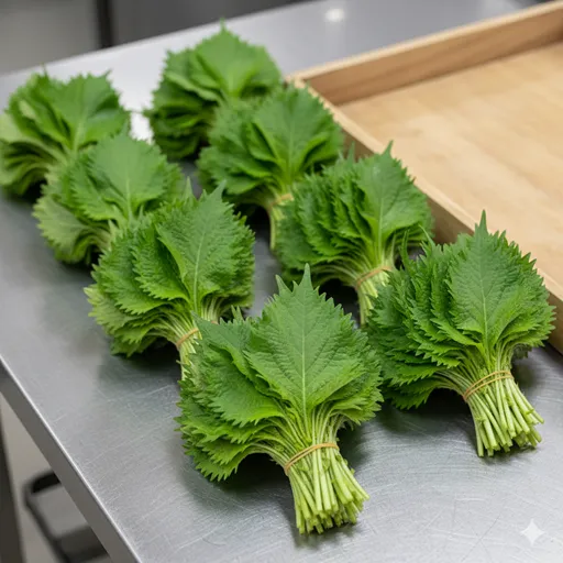 10枚ずつきれいに束ねられ、パック詰めされたスーパーの野菜売り場のような大葉。
