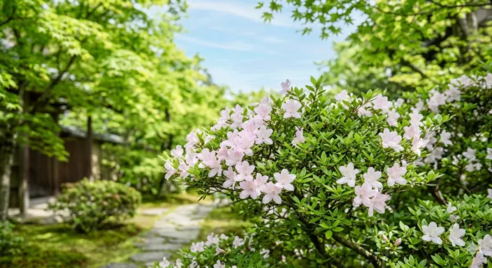 やわらかな初夏の光の中で、皐月の季節に咲くさつきの花を印象的に捉えた風景。