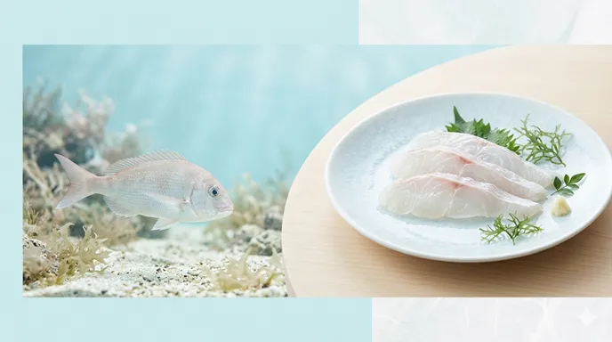 透明感のある白身魚の切り身と、静かな海底にたたずむ白身魚が描かれた上品で淡泊な印象の画像。