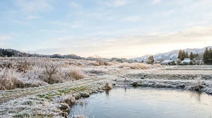 雪、霜、氷という三つの冬の現象が、空・地表・水面の違いとして自然に整理されている穏やかな冬景色。